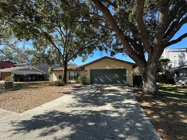 4305 Ellenville Place, VALRICO, FL 33596