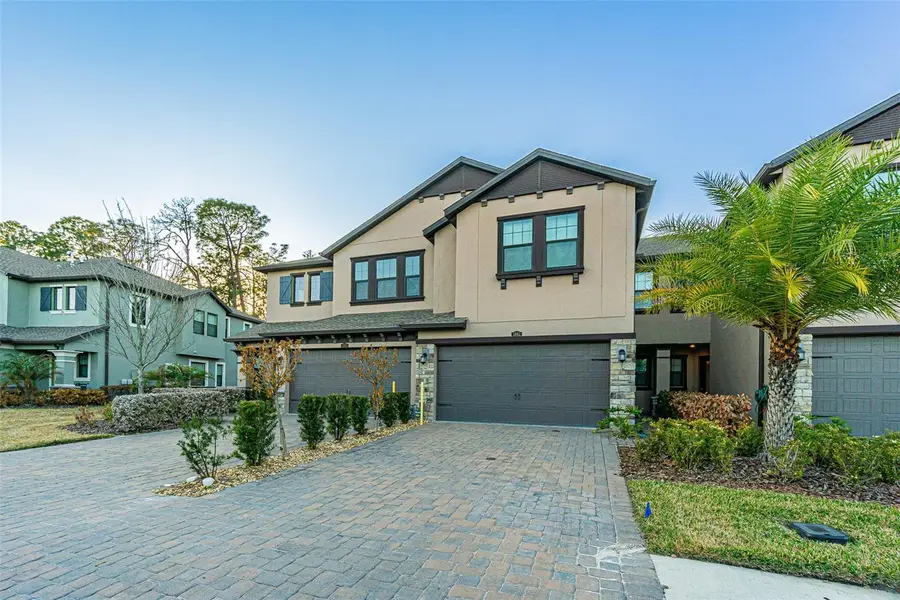 5062 San Martino Drive, Wesley Chapel, FL 33543 - #2