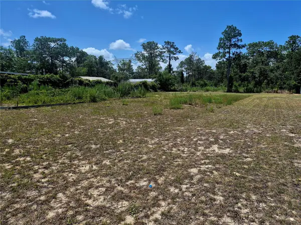 Address Withheld By Seller, BROOKSVILLE, FL 34614