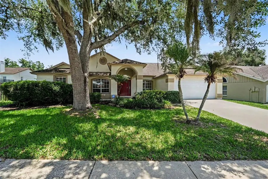 2909 Starmount Drive, Valrico, FL 33596 - #2