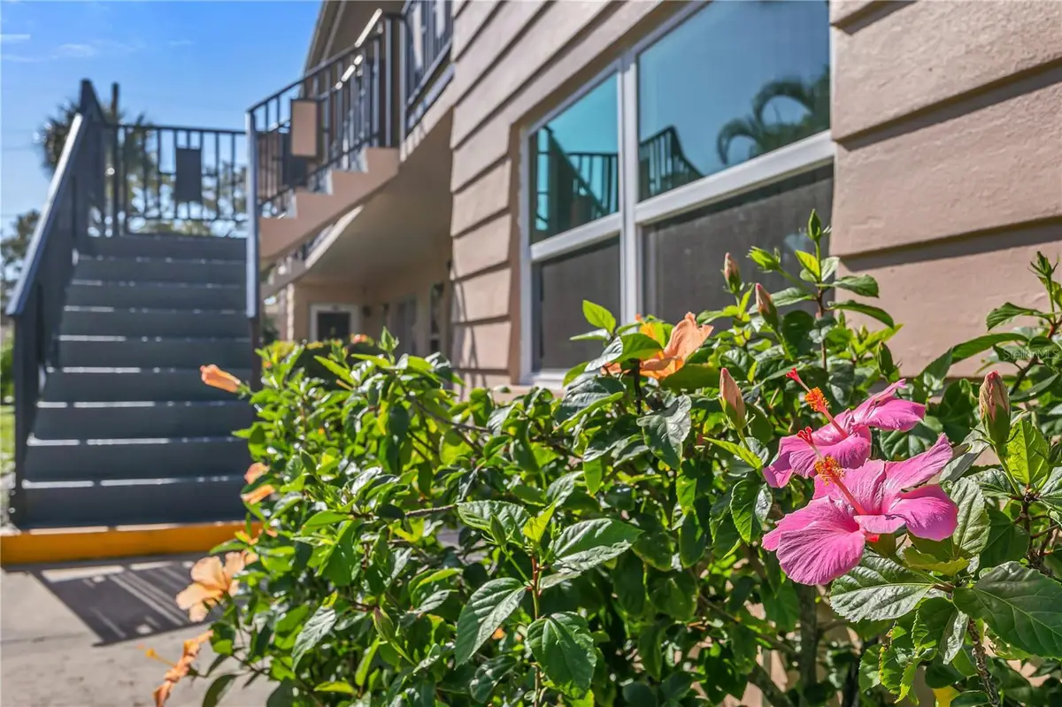 216 36th Avenue N #202B, Saint Petersburg, FL 33704 - #1