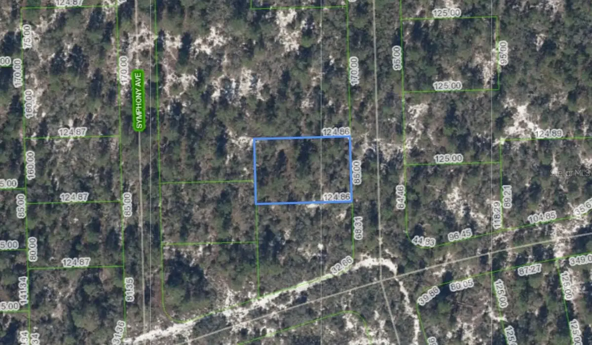 591 Blue Velvet Drive, Lake Placid, FL 33852 - #1