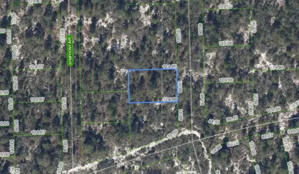 591 Blue Velvet Drive, LAKE PLACID, FL 33852