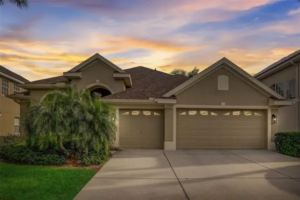 23338 Dinhurst Court, LAND O LAKES, FL 34639