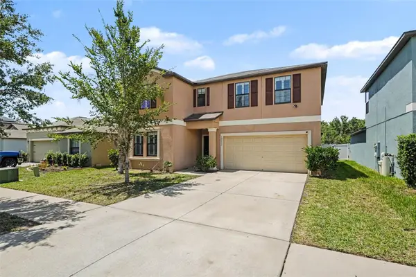 10022 Carloway Hills Drive, WIMAUMA, FL 33598