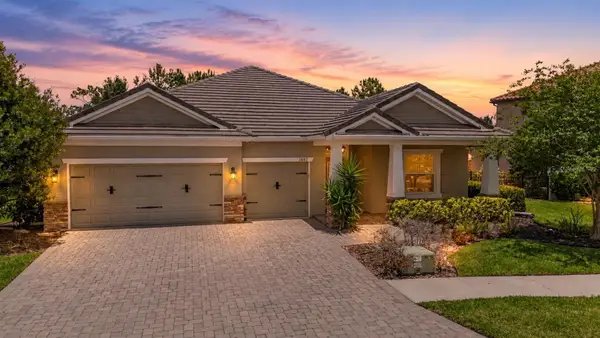 11882 Frost Aster Drive, RIVERVIEW, FL 33579