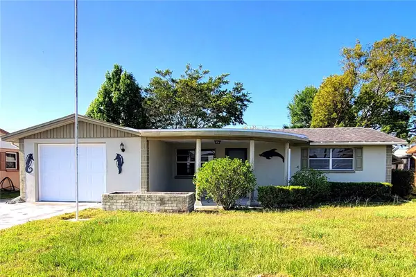 3850 Baden Drive, HOLIDAY, FL 34691