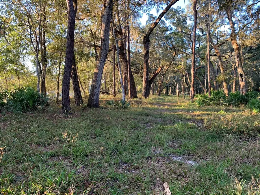 1305 NE 930th Street, Old Town, FL 32680 - #3