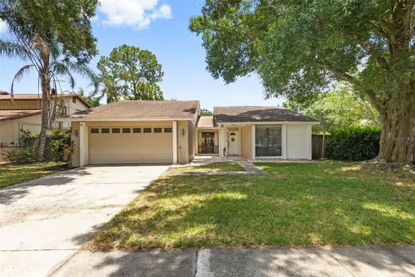 15701 Country Lake Drive, TAMPA, FL 33624