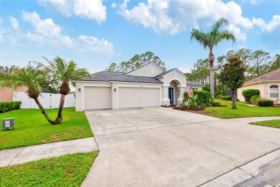 20744 Orchardtown Drive, Land O Lakes, FL 34638 - #2