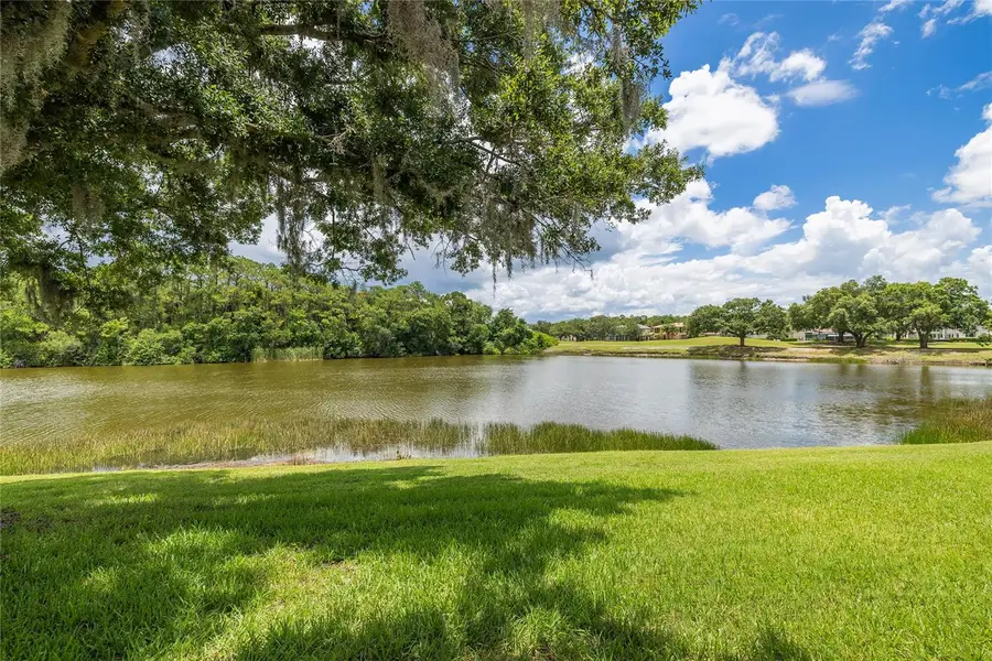2055 Diamond Court, Oldsmar, FL 34677 - #2
