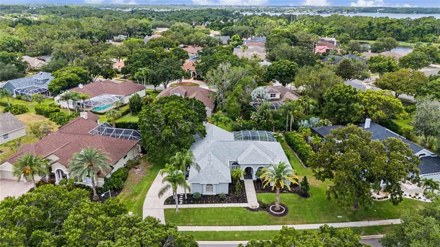 3692 Johnathon Avenue, Palm Harbor, FL 34685 - #3