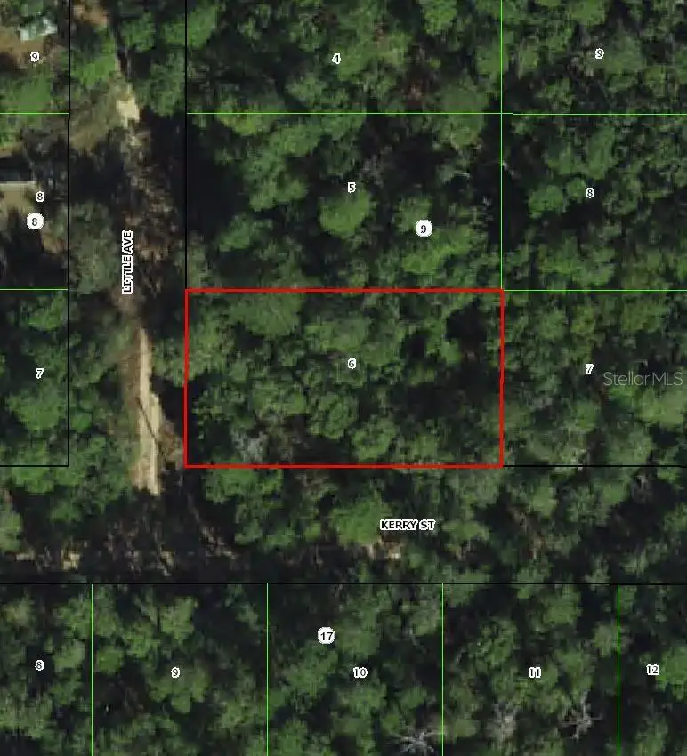306 Little Avenue, Inverness, FL 34452 - #1