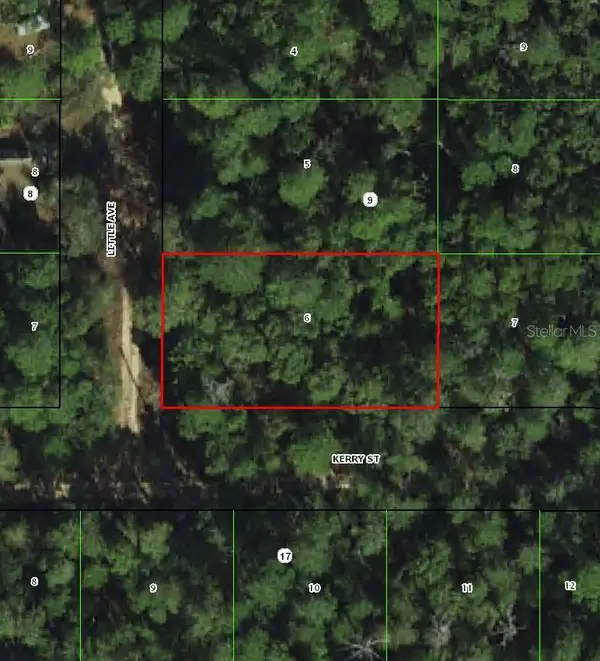306 Little Avenue, INVERNESS, FL 34452