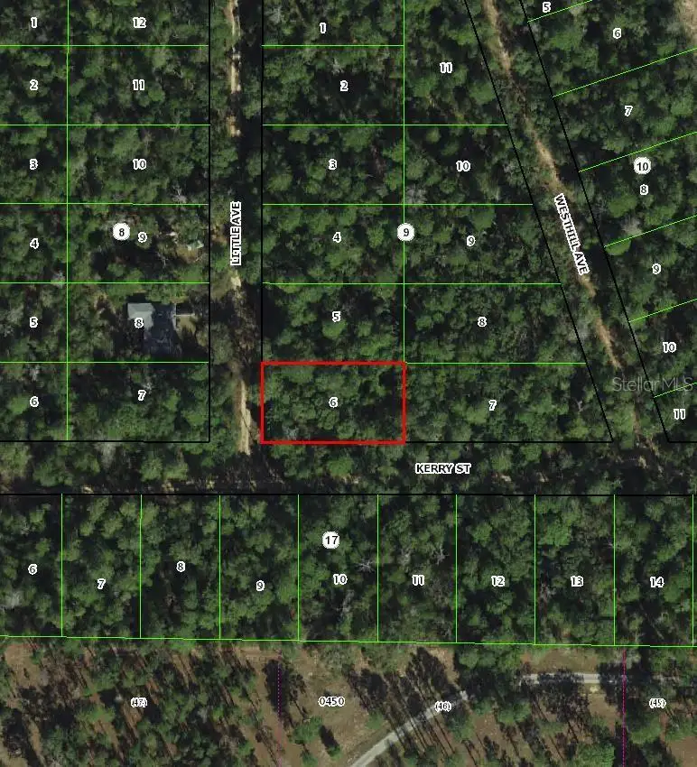 306 Little Avenue, Inverness, FL 34452 - #2
