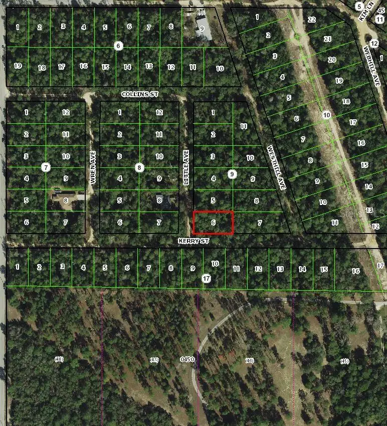 306 Little Avenue, Inverness, FL 34452 - #3