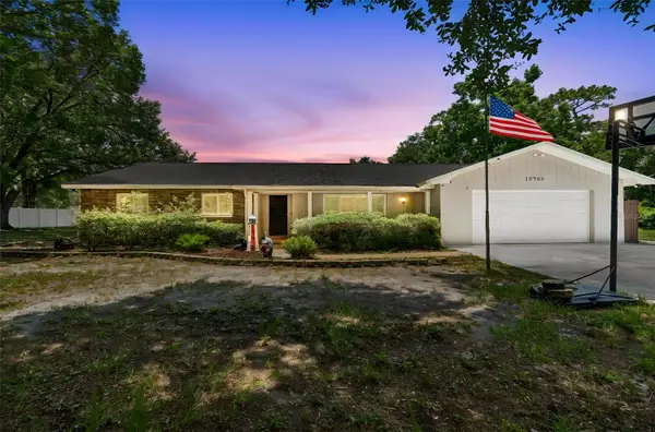 19706 Angel Lane, ODESSA, FL 33556
