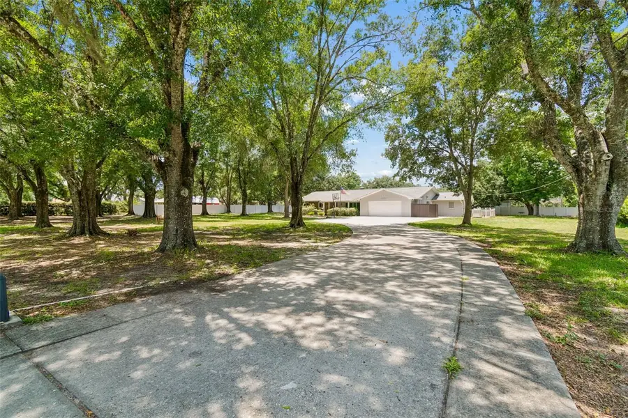 19706 Angel Lane, Odessa, FL 33556 - #2