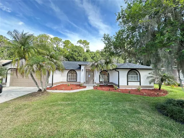 26035 Loblolly Lane, LAND O LAKES, FL 34639