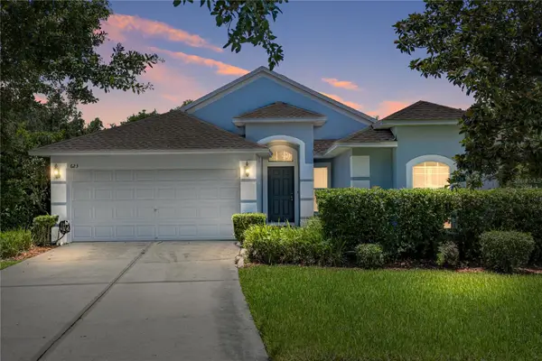 623 Straw Lake Drive, BRANDON, FL 33510