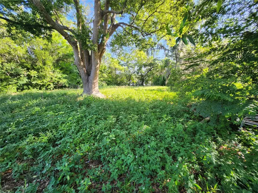 1434 Newhope Road, Spring Hill, FL 34606 - #3