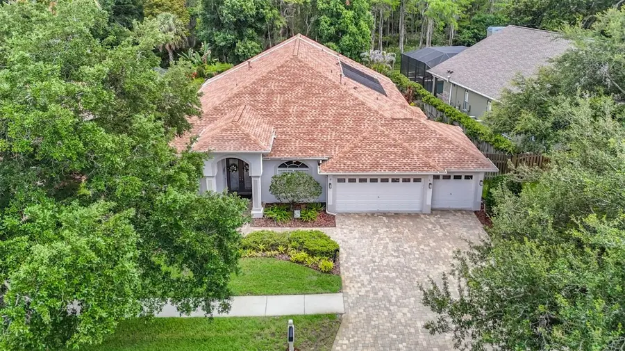 4706 Mirabella Place, Lutz, FL 33558 - #2