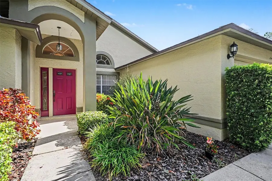 19610 Wyndmill Circle, Odessa, FL 33556 - #2