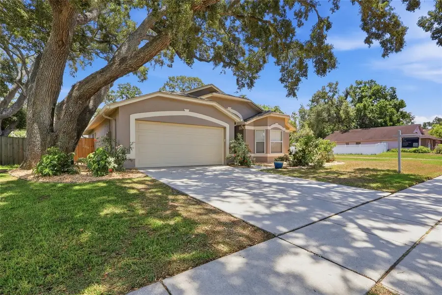 5724 Erhardt Drive, Riverview, FL 33578 - #3
