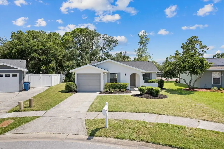 1206 Sawgrass Court, Oldsmar, FL 34677 - #2