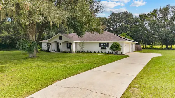 10204 Tranquil Lane, ODESSA, FL 33556
