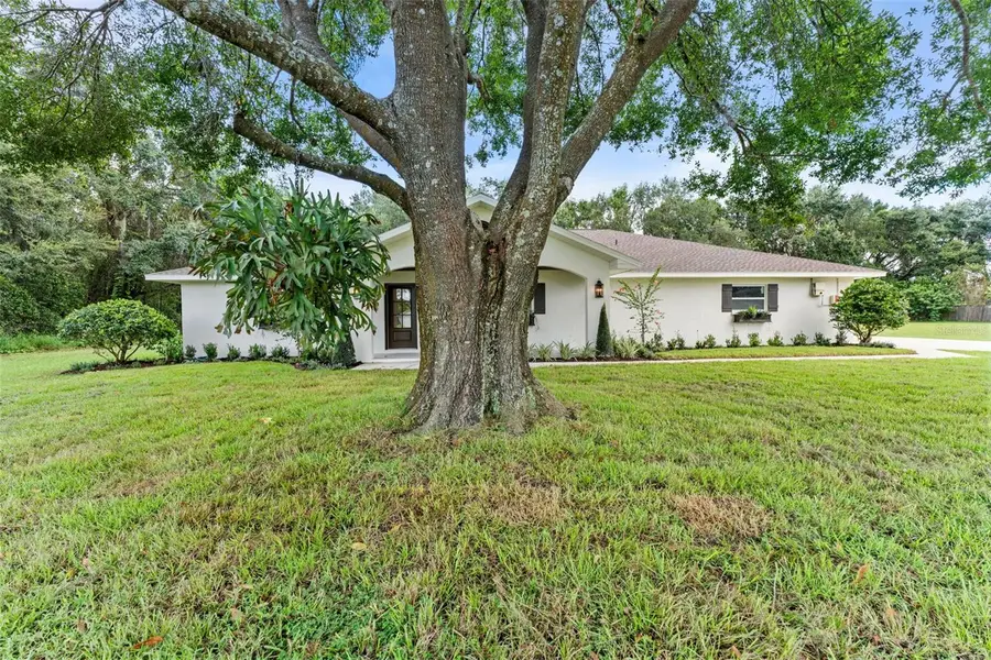 10204 Tranquil Lane, Odessa, FL 33556 - #3