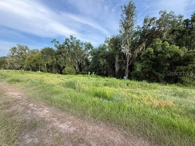 Pool Branch Road, Fort Meade, FL 33841 - #1
