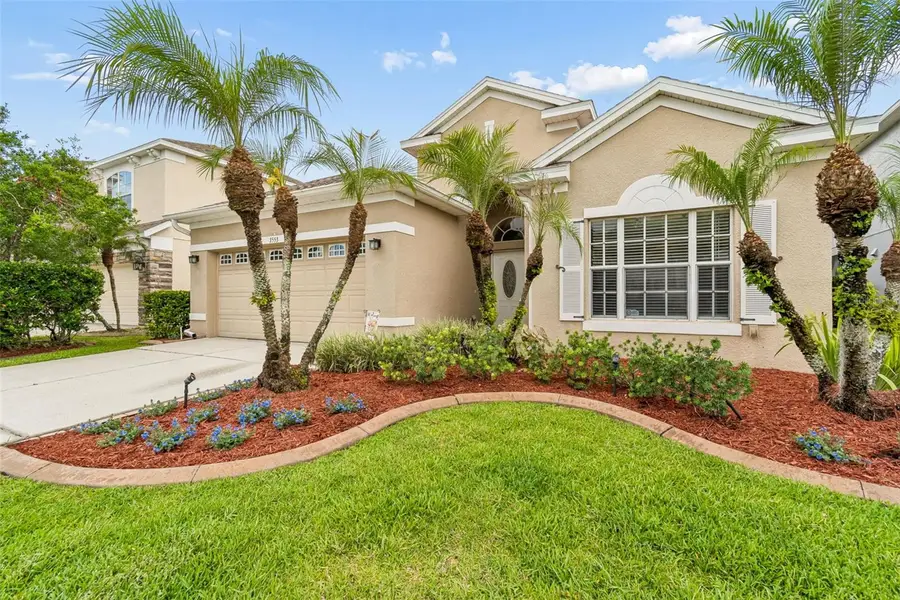 3553 Morgans Bluff Court, Land O Lakes, FL 34639 - #2