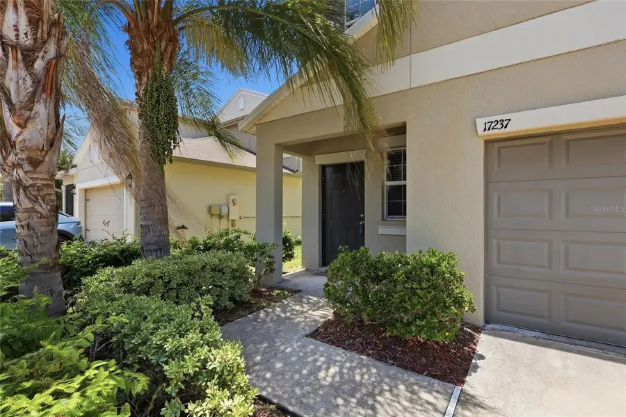 17237 White Mangrove Drive, Wimauma, FL 33598 - #3