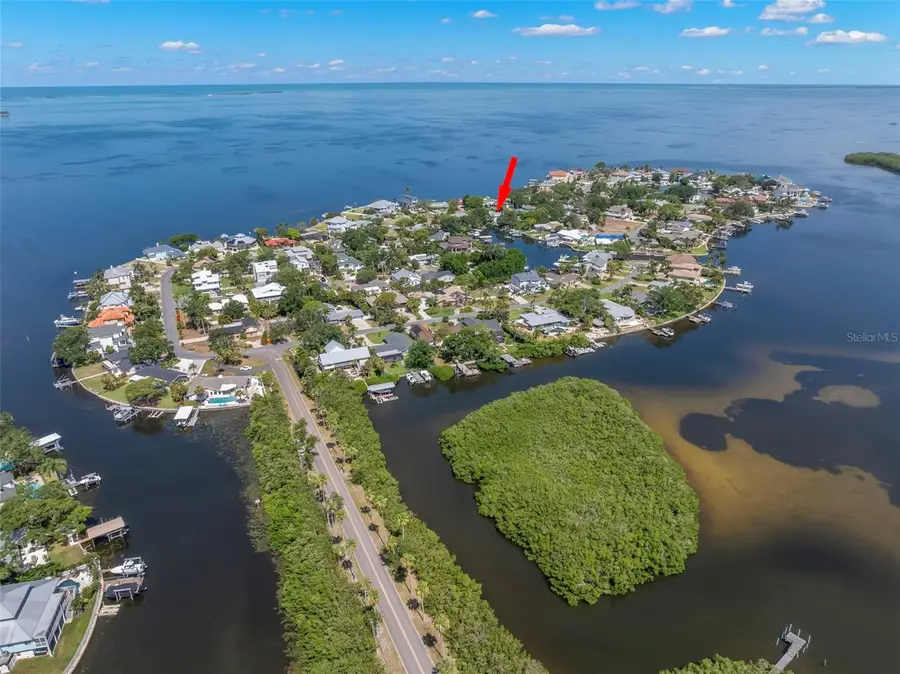 121 Carlyle Drive, Palm Harbor, FL 34683 - #3