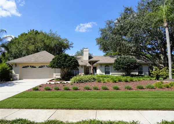 18106 Fairmead Court, LUTZ, FL 33548