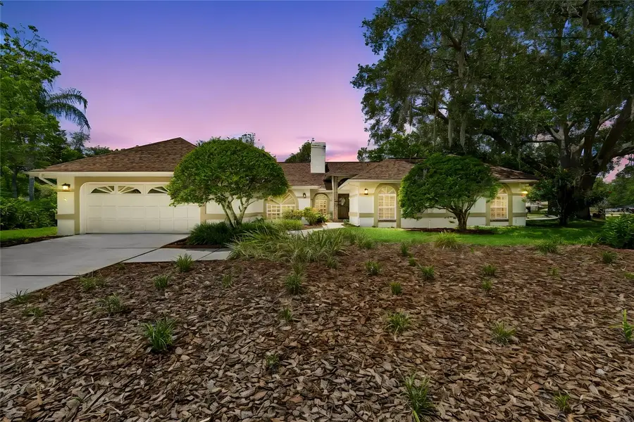 18106 Fairmead Court, Lutz, FL 33548 - #3