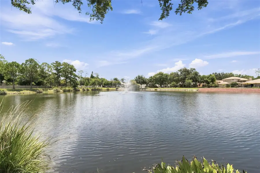 1469 Riverdale Drive, Oldsmar, FL 34677 - #3