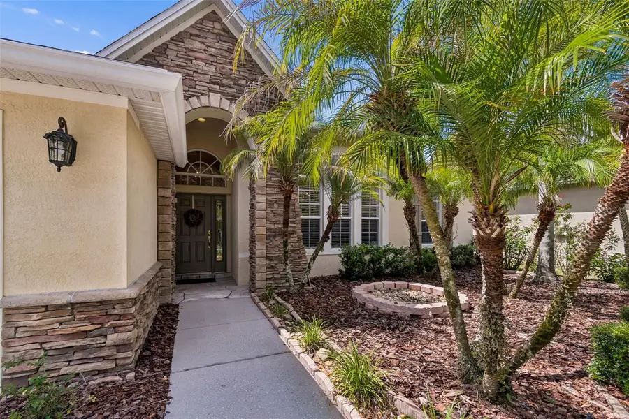 7308 Ambleside Drive, Land O Lakes, FL 34637 - #3
