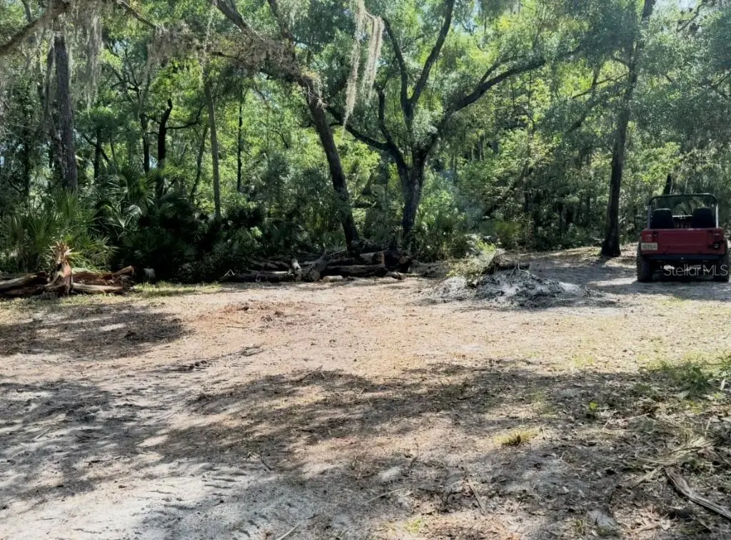 901 Shoals Landing Drive, Brandon, FL 33511 - #1