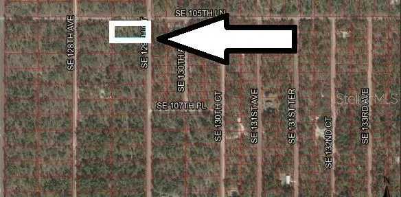 Lot 1 SE 129th Court, DUNNELLON, FL 34431