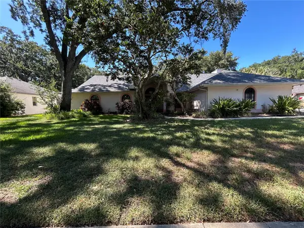 1418 Hounds Hollow Court, LUTZ, FL 33549