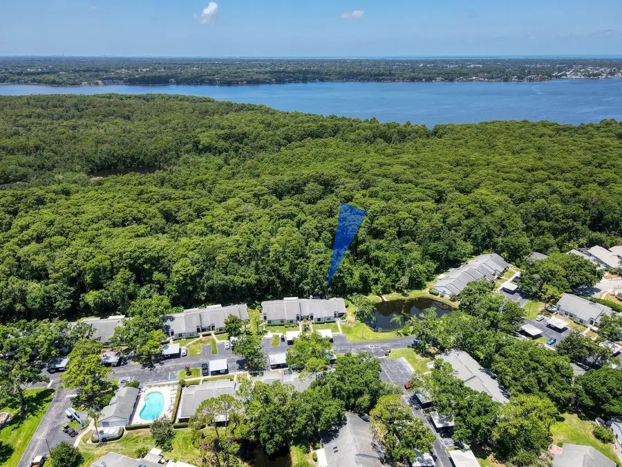 3454 Killdeer Place, Palm Harbor, FL 34685 - #2