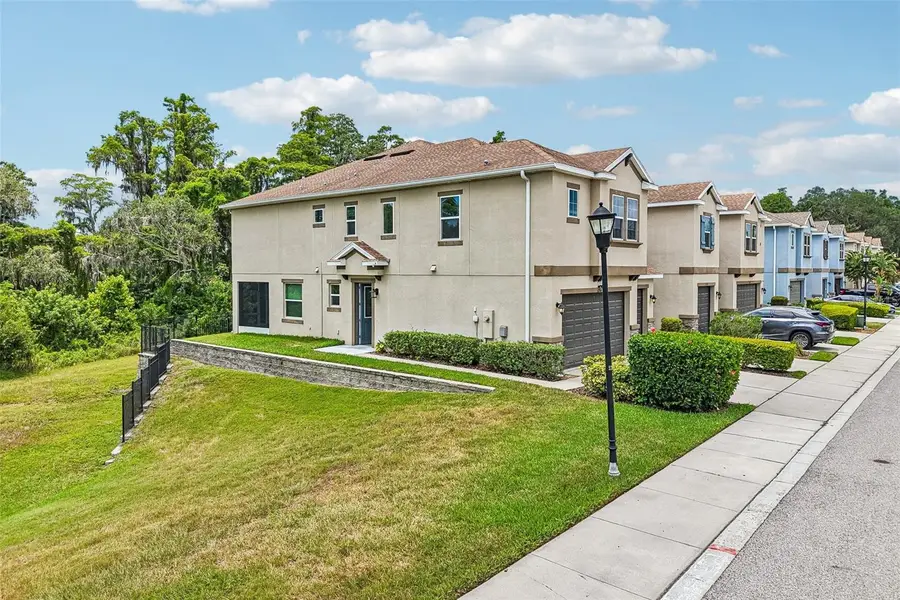 6706 Rocky Park Street, Tampa, FL 33625 - #2