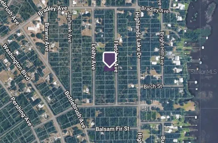442 Fletcher Avenue, Lake Placid, FL 33852 - #2
