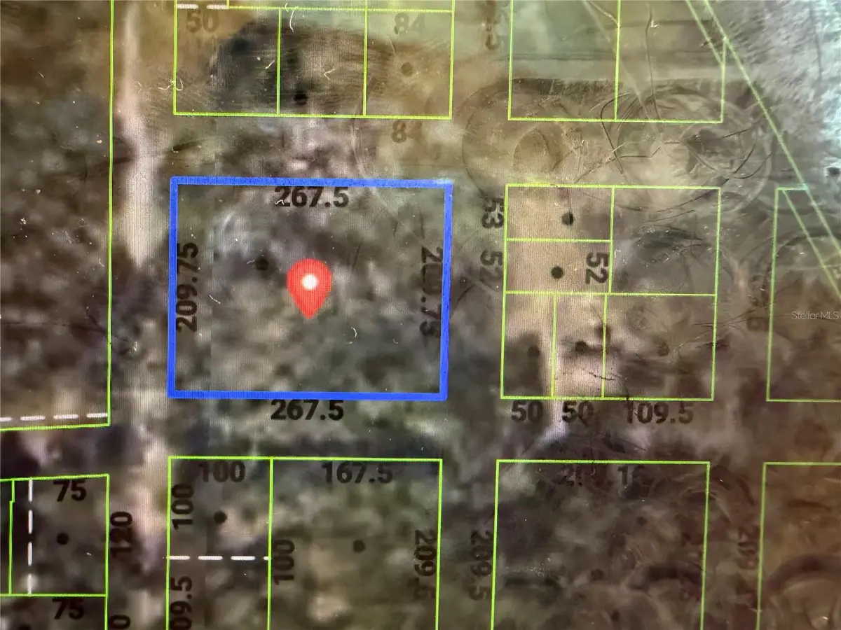 Hale Avenue, Brooksville, FL 34601 - #1