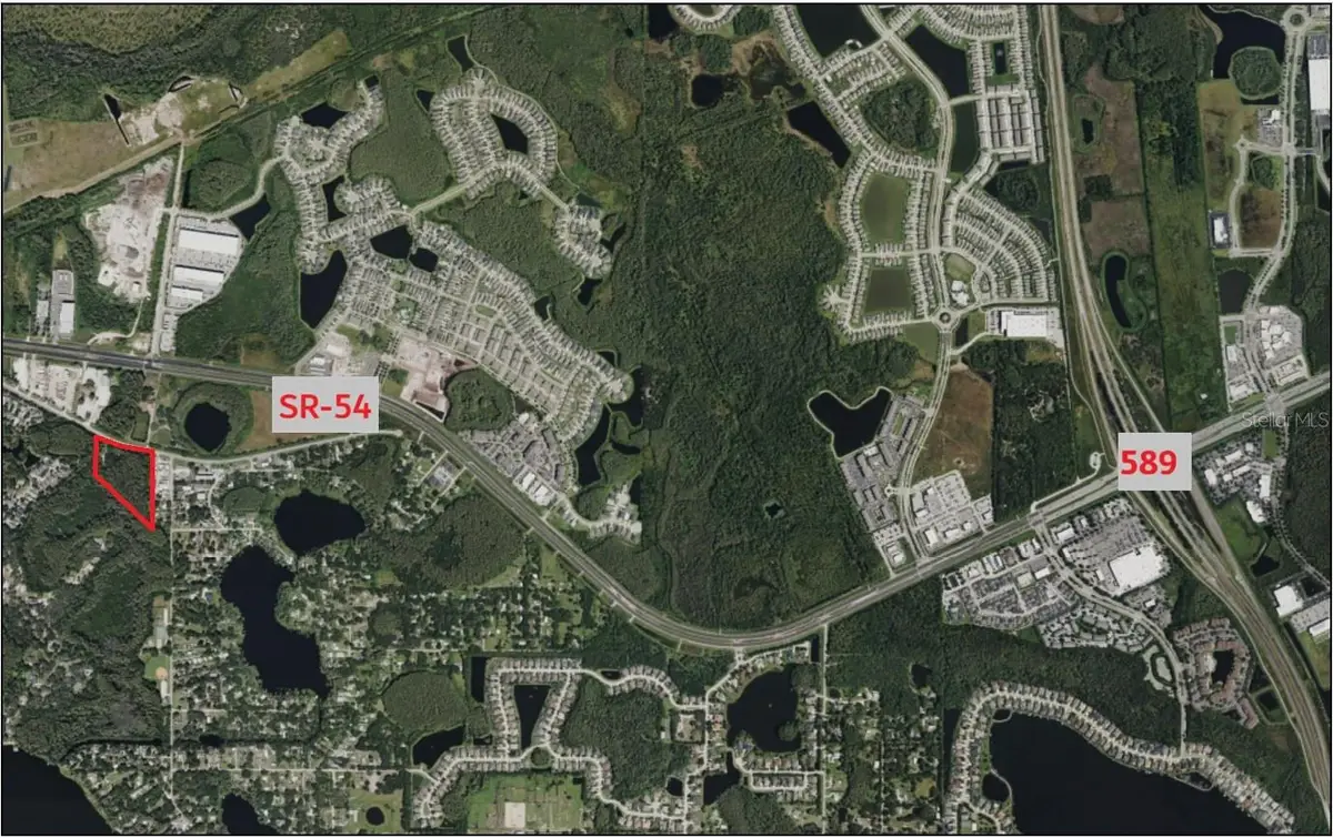 14356 Black Lake Road, Odessa, FL 33556 - #1