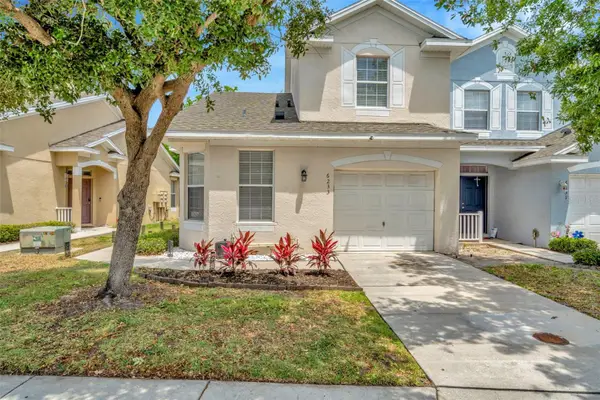 6233 Olivedale Drive, RIVERVIEW, FL 33578