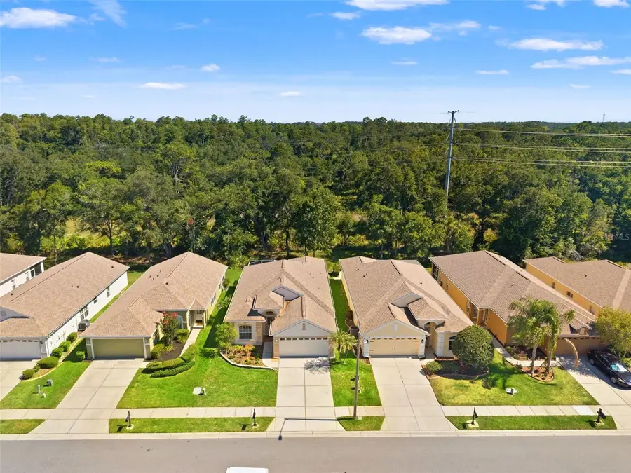 2913 Banyan Hill Lane, Land O Lakes, FL 34639 - #2