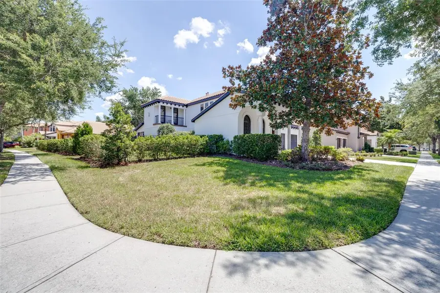 20302 Chestnut Grove Drive, Tampa, FL 33647 - #3